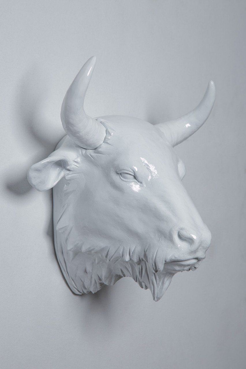 Interior Illusions Buffalo Head Taxidermy