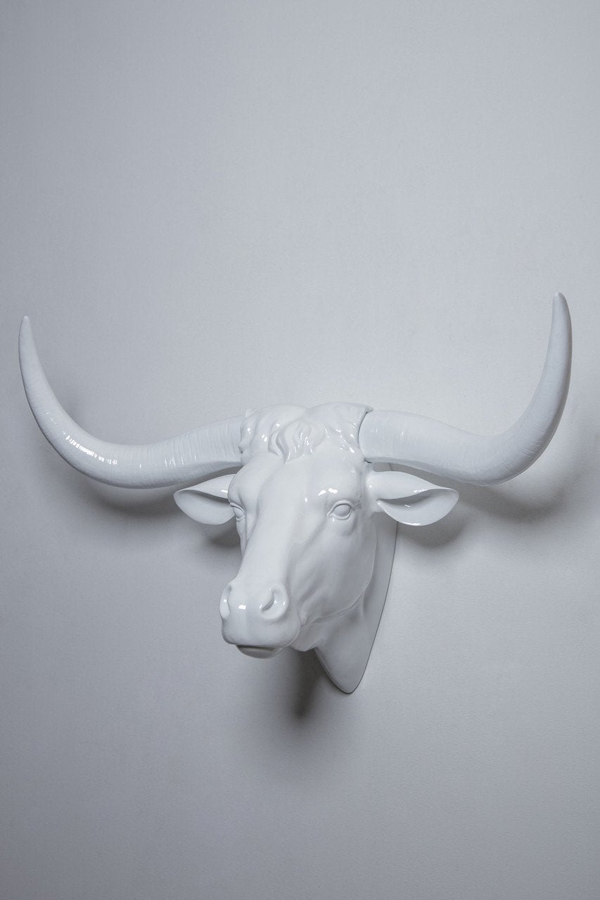 Interior Illusions Cosby Bull Head Taxidermy
