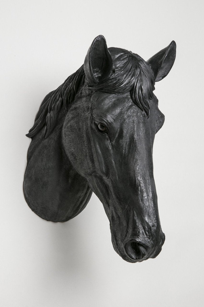 Interior Illusions Horse Head Taxidermy
