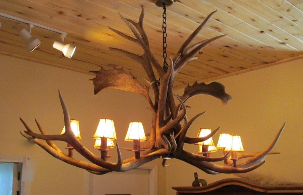 Antlerworx 8 Light Elk/Fallow Elongated Antler Chandelier (AWC-21)