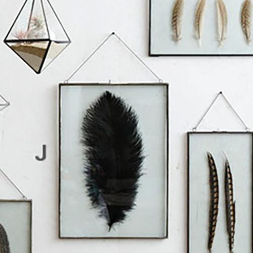 Roost Iron Edged Hanging Frames including Feathers Frames, Roost, - Modish Store