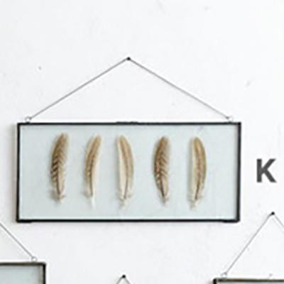 Roost Iron Edged Hanging Frames including Feathers Frames, Roost, - Modish Store