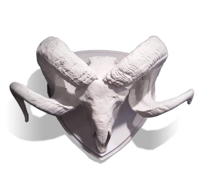 Gold Leaf Design Group Resin Ram Skull With Horns On Medallion