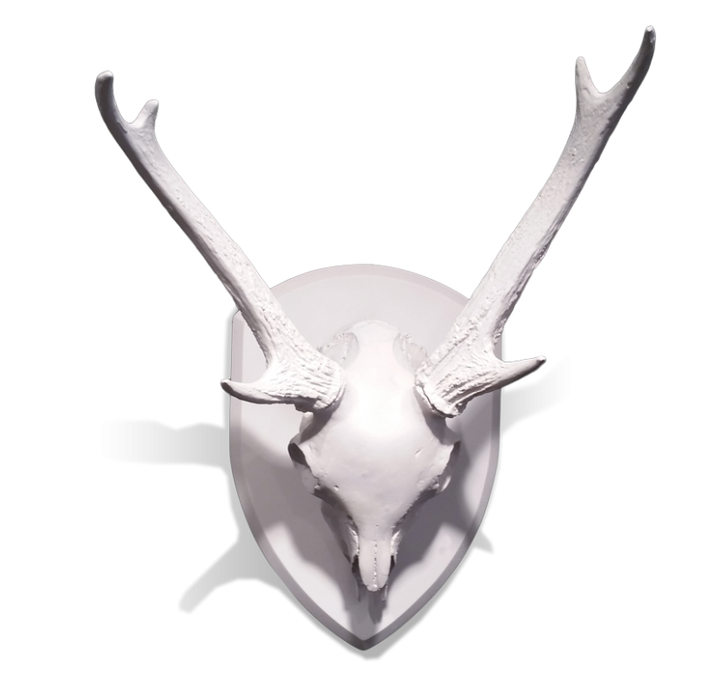 Gold Leaf Design Group Mule Deer Skull With Antlers On Medallion