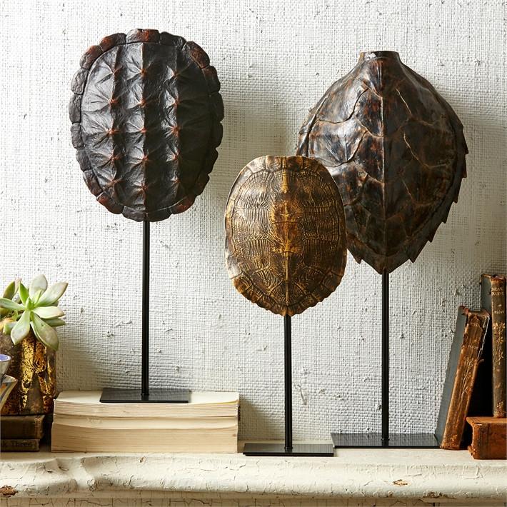 Tozai Home Decorative Tortoise Shells - Set of 3