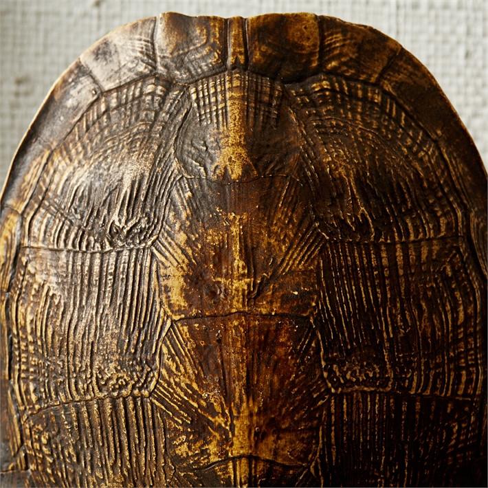 Tozai Home Decorative Tortoise Shells - Set of 3