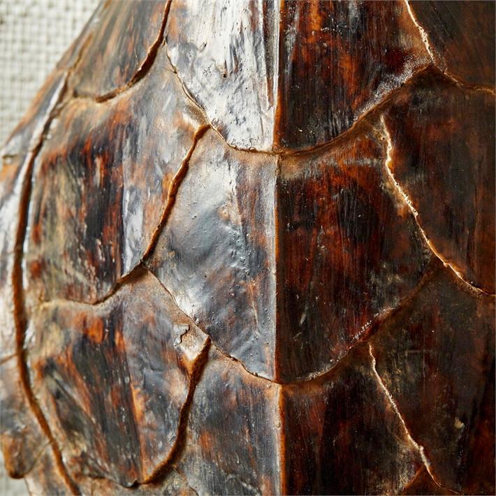 Tozai Home Decorative Tortoise Shells - Set of 3