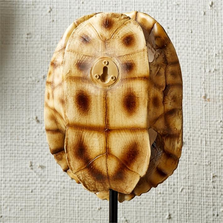 Tozai Home Decorative Tortoise Shells - Set of 3