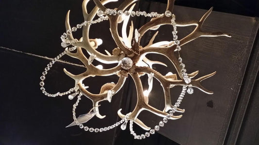 Antlerworx 8 Light Mule Deer Antler Chandelier (Sun Bleached Finish) (AWC-4SB)