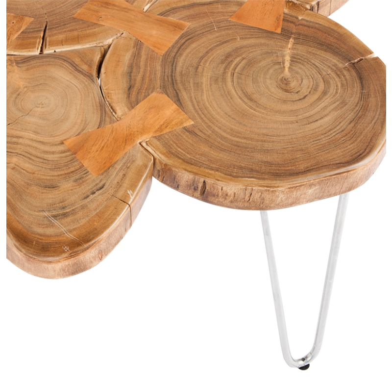 Gold Leaf Design Group Wabi Sabi Organic Coffee Table