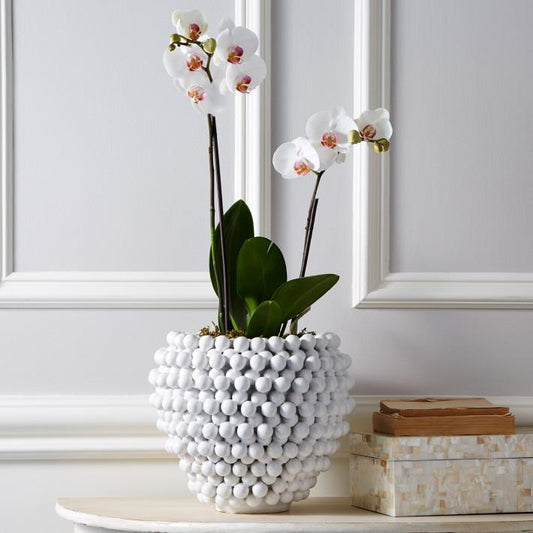 Tozai Home Pompon Vase/Planter